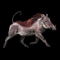 Warthog Illustrations Ladies Tee | Teevron