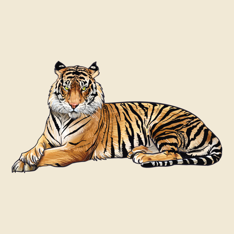 Tiger Ladies Tee by LillyAllenDesigns | Teevron