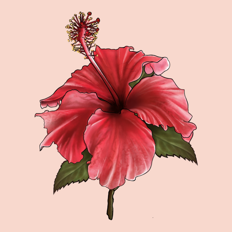 Puerto Rican Hibiscus Flower Illustrations Urban Hoodie by LillyAllenDesigns | Teevron