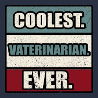 Coolest Veterinarian Ever Heavyweight Sweatshirt | Teevron