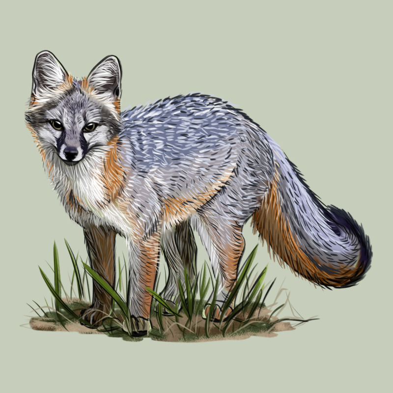 Gray Fox Ladies Tee by LillyAllenDesigns | Teevron