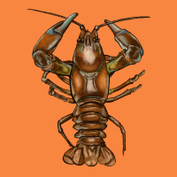 Crawfish Premium Sweatshirt | Teevron