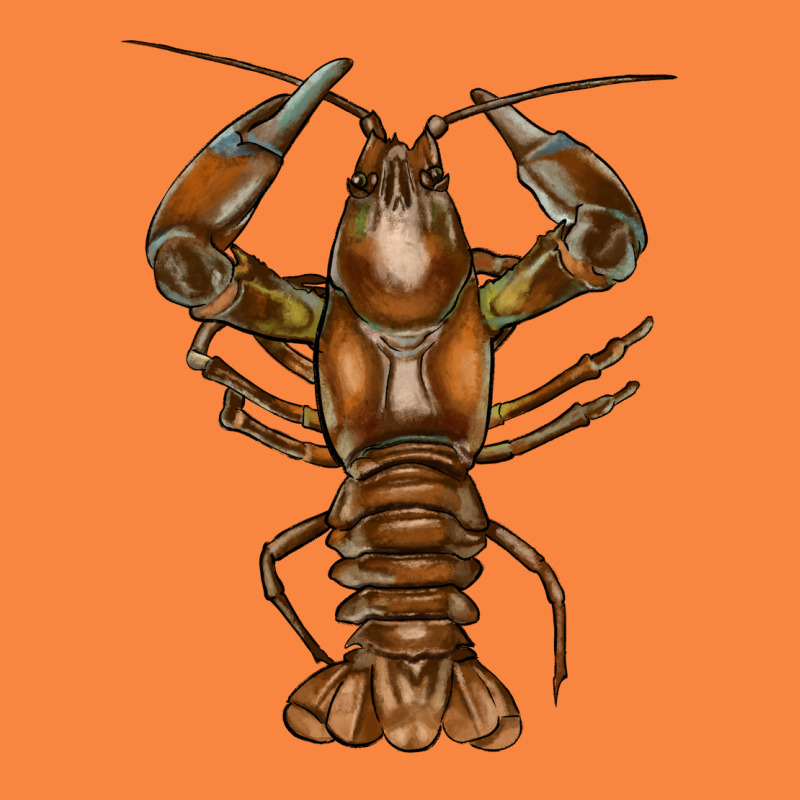 Crawfish Premium Sweatshirt by FaDigitalArtStudio | Teevron