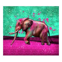 colorful elephant | Teevron