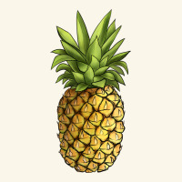 Pineapple Premium Hoodie | Teevron