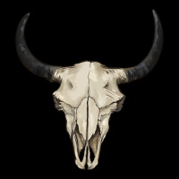 Bull Skull Premium Tee | Teevron
