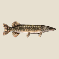 Northern Pike Fish Illustrations Urban Hoodie | Teevron