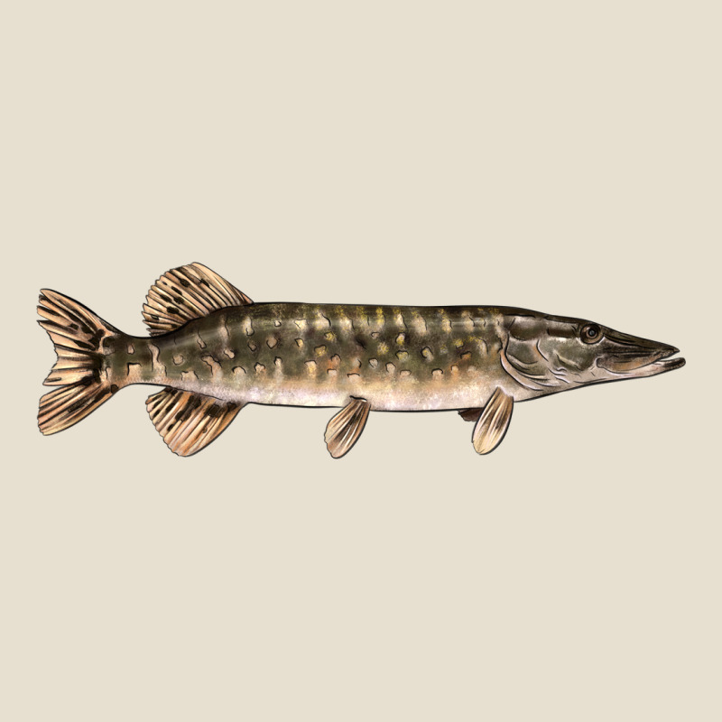 Northern Pike Fish Illustrations Urban Hoodie by LillyAllenDesigns | Teevron