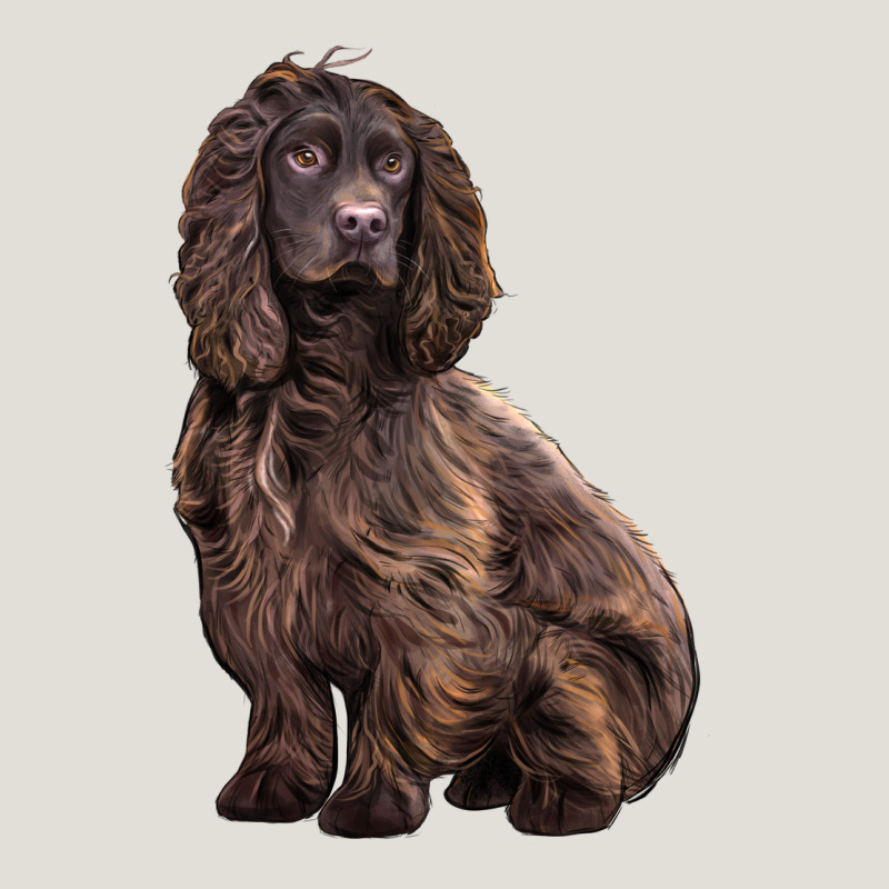 Boykin Spaniel Dog Heavy Core Tee by LillyAllenDesigns | Teevron