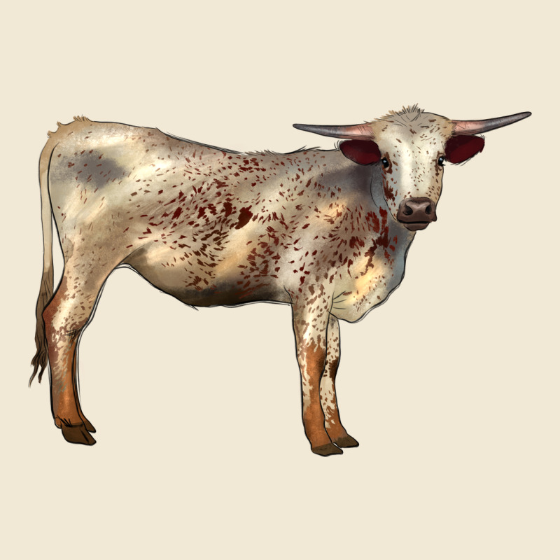 Texas Longhorn Heifer Premium Tee by LillyAllenDesigns | Teevron