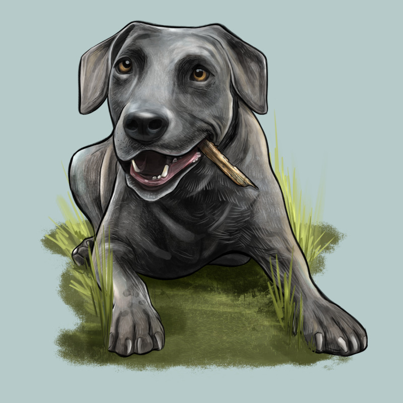 Texas Blue Lacy Dog Heavy Core Tee by LillyAllenDesigns | Teevron