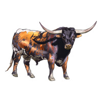 Texas Longhorn Bull | Teevron