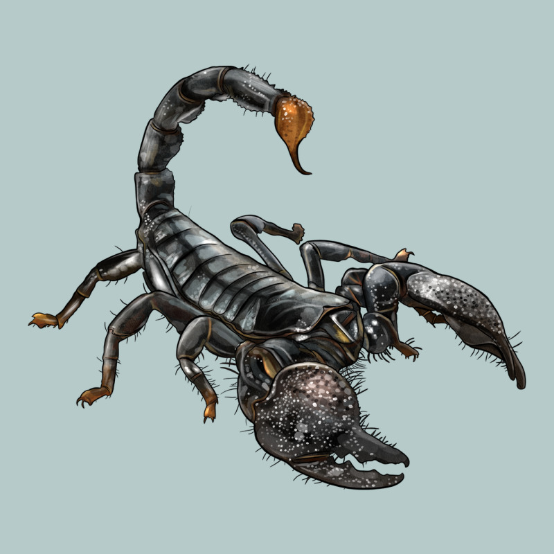 Scorpion Heavy Core Tee by LillyAllenDesigns | Teevron