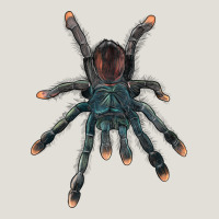 Pink Toe Tarantula Heavy Core Tee | Teevron