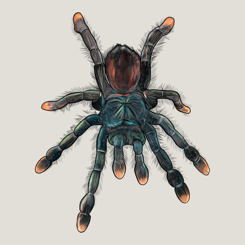 Pink Toe Tarantula Heavy Core Tee by LillyAllenDesigns | Teevron