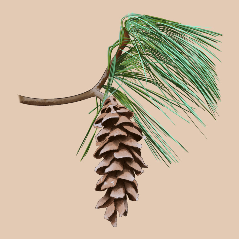 White Pine Cone Urban Hoodie by LillyAllenDesigns | Teevron