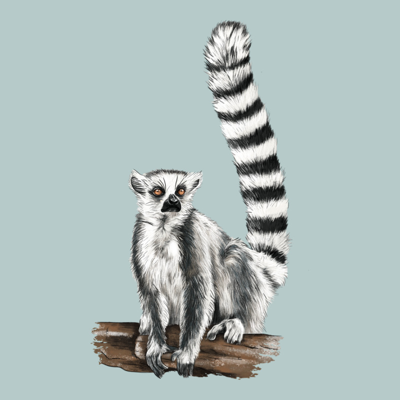 Ringtail Cat Heavy Core Tee by LillyAllenDesigns | Teevron