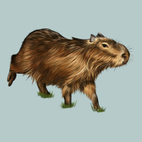 Capybara Heavy Core Tee | Teevron
