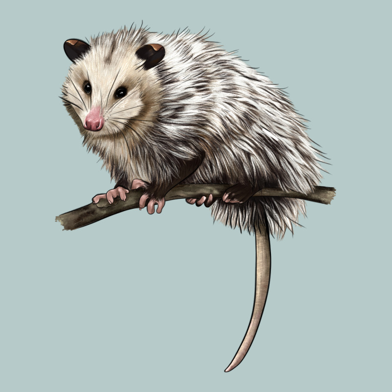 Opossum Heavy Core Tee by LillyAllenDesigns | Teevron