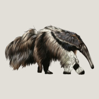 Anteaters Heavy Core Tee | Teevron