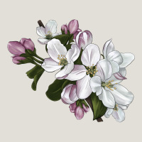 Apple Blossom Heavy Core Tee | Teevron