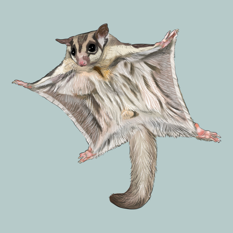 Sugar Glider Heavy Core Tee by LillyAllenDesigns | Teevron