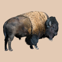 Bison Buffalo Urban Hoodie | Teevron