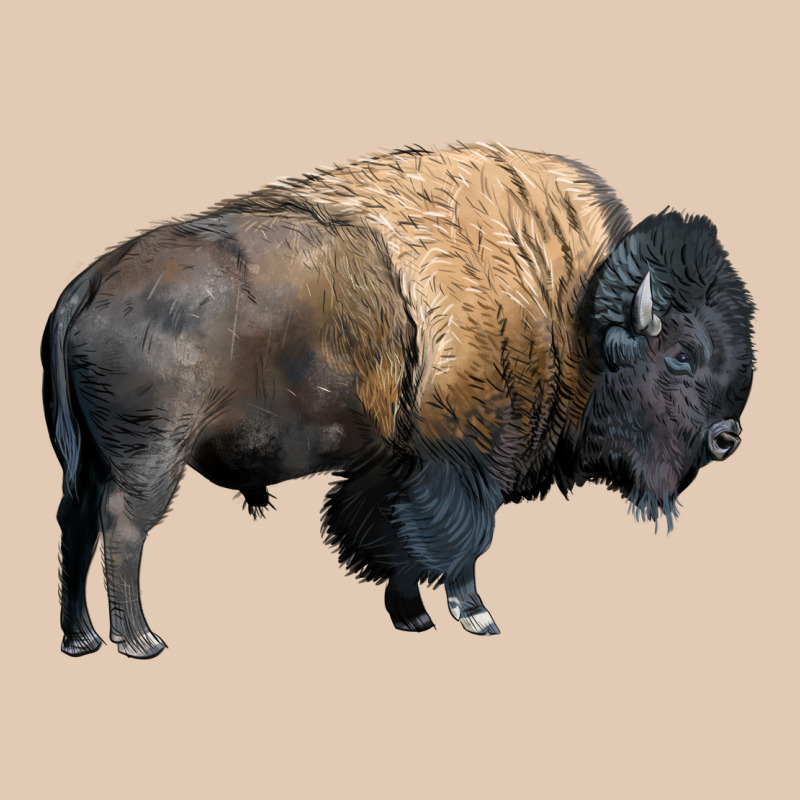 Bison Buffalo Urban Hoodie by LillyAllenDesigns | Teevron