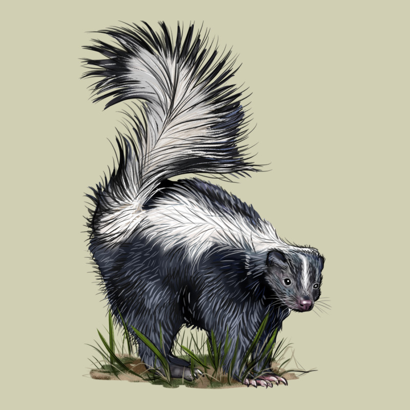 Skunk Heavy Core Tee by LillyAllenDesigns | Teevron