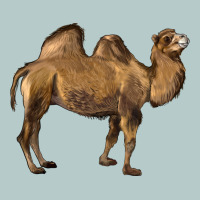 Camel Heavy Core Tee | Teevron