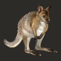 Hand Drawn Wallaby Animal Heavy Core Tee | Teevron