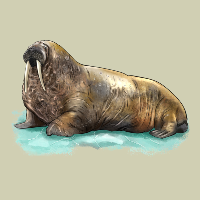 Walrus Heavy Core Tee by LillyAllenDesigns | Teevron
