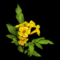 Yellow Elder Flower Heavy Core Tee | Teevron
