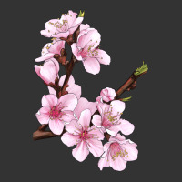 Peach Blossom | Teevron