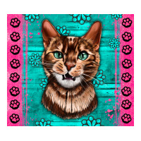 Western Bengal Cat | Teevron