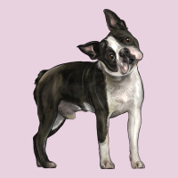 Boston Terrier Ladies Tee | Teevron