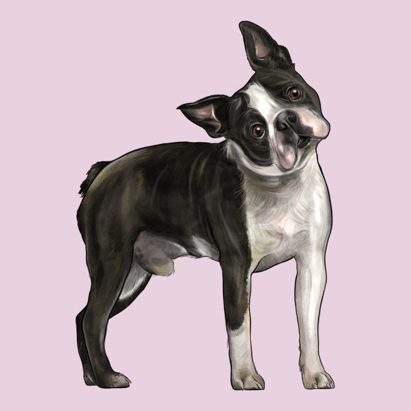Boston Terrier Ladies Tee by LillyAllenDesigns | Teevron