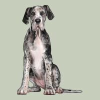 Great Dane Dog Ladies Tee | Teevron