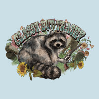 Classy But Trashy Racoon Ladies Tee | Teevron