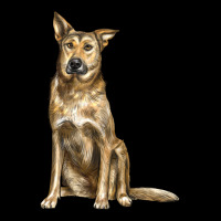 Chinook Dog Ladies Tee | Teevron