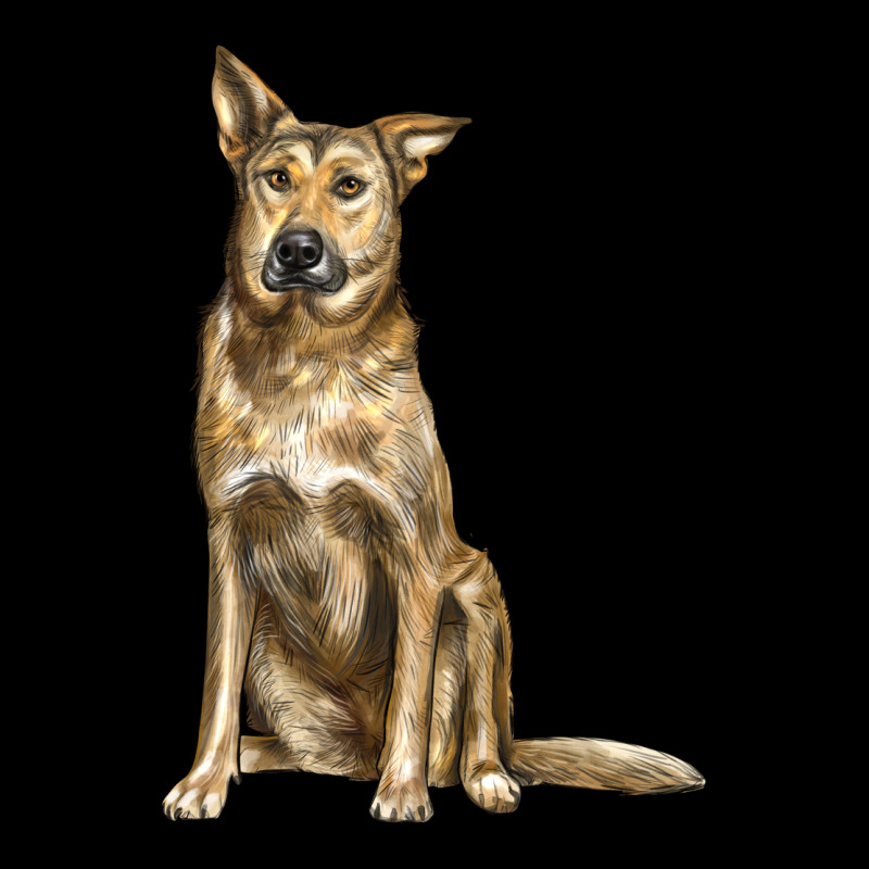 Chinook Dog Ladies Tee by LillyAllenDesigns | Teevron