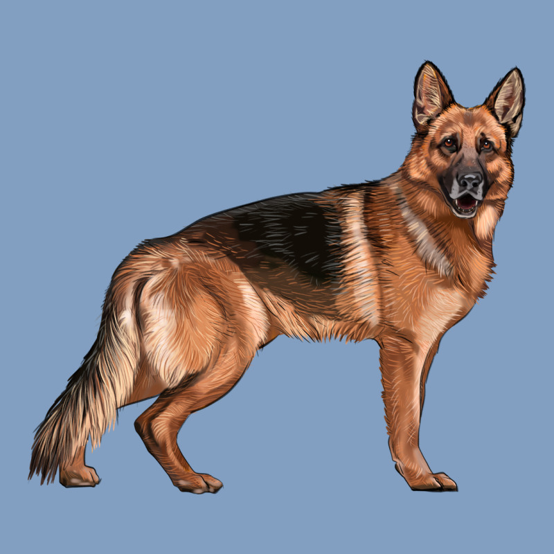 German Shepherd Dog Illustrations Urban Hoodie by LillyAllenDesigns | Teevron