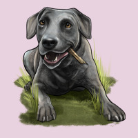 Texas Blue Lacy Dog Ladies Tee | Teevron