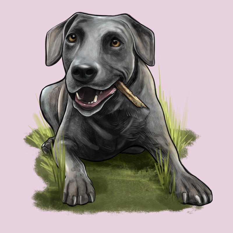 Texas Blue Lacy Dog Ladies Tee by LillyAllenDesigns | Teevron
