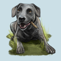 Texas Blue Lacy Dog Ladies Tee | Teevron