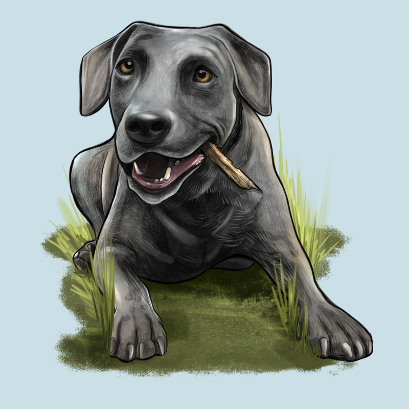 Texas Blue Lacy Dog Ladies Tee by LillyAllenDesigns | Teevron