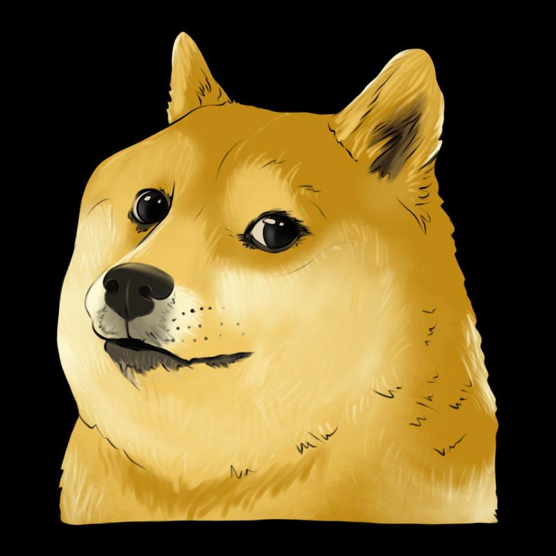 Doge Coin Shiba Dog Premium Tee by Jasminsmagicworld | Teevron