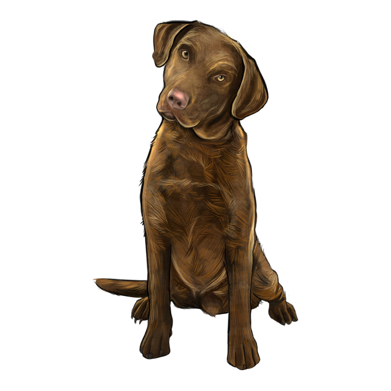 Chesapeake Bay Retriever Ladies Tee by LillyAllenDesigns | Teevron