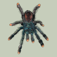 Pink Toe Tarantula Ladies Tee | Teevron