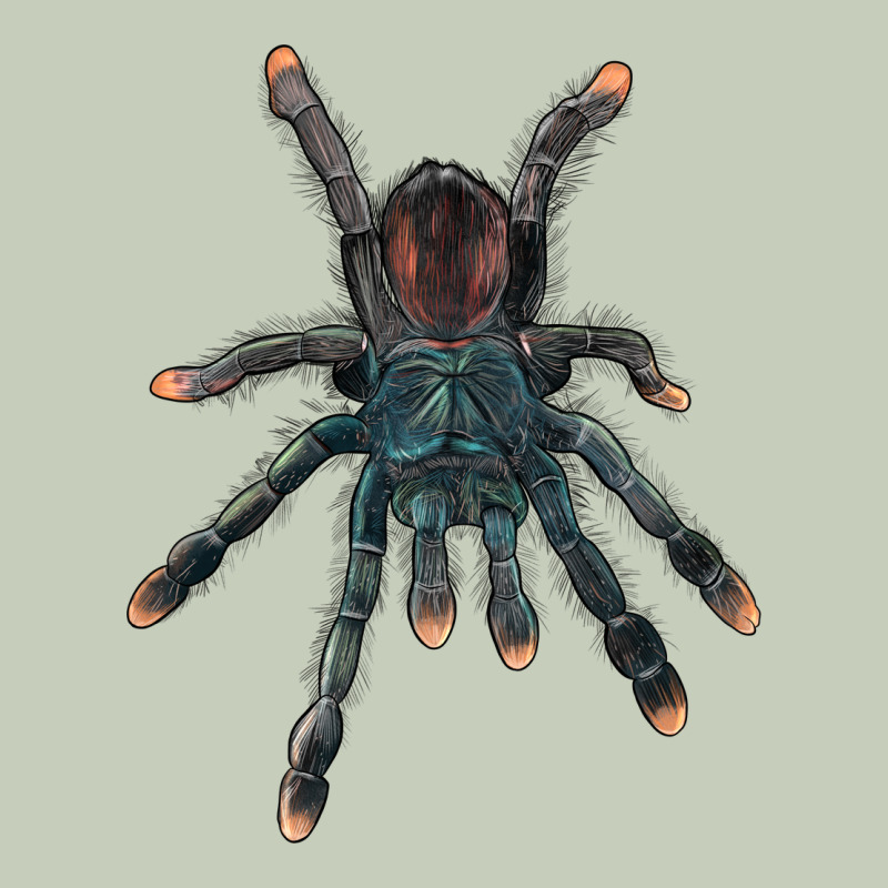 Pink Toe Tarantula Ladies Tee by LillyAllenDesigns | Teevron